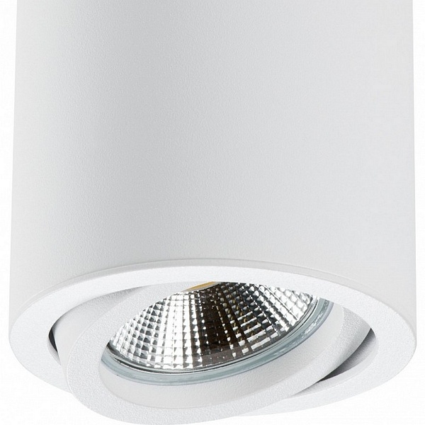 Спот LIGHTSTAR RULLO 214406