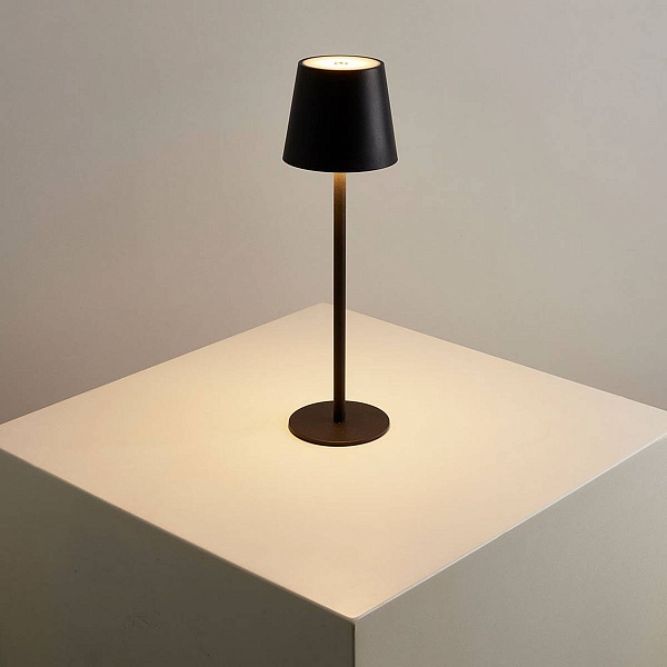 Настольная лампа ARTE LAMP FUYUE A1614LT-1BK