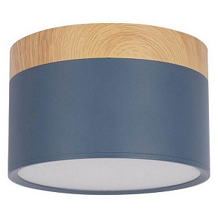 Светильник потолочный LOFT IT GRAPE 10162 Blue