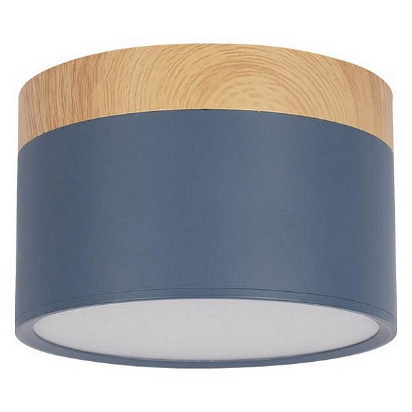 Светильник потолочный LOFT IT GRAPE 10162 Blue