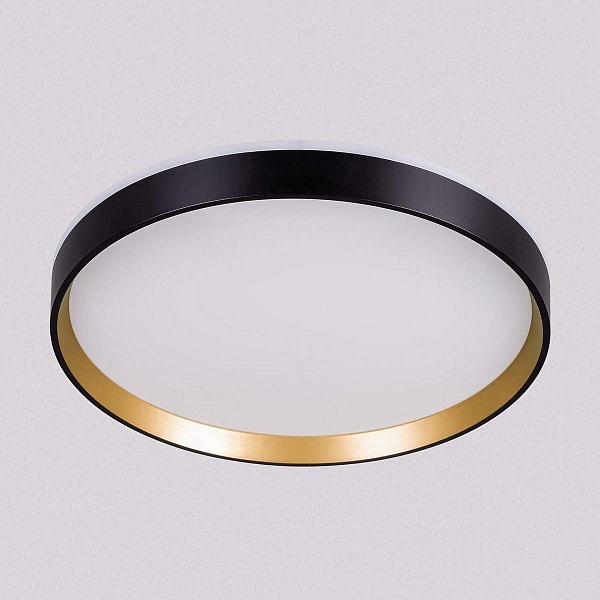 Светильник потолочный CITILUX ETALON CL750321R