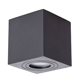 Светильник уличный потолочный ARTE LAMP GALOPIN A1461PL-1BK
