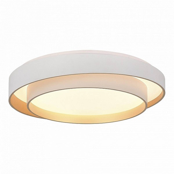 Светильник потолочный EVOLUCE CROSBY SLE6009-502-01