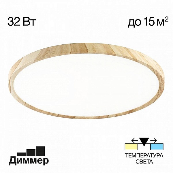 Светильник потолочный CITILUX БЕЙСИК CL738322V