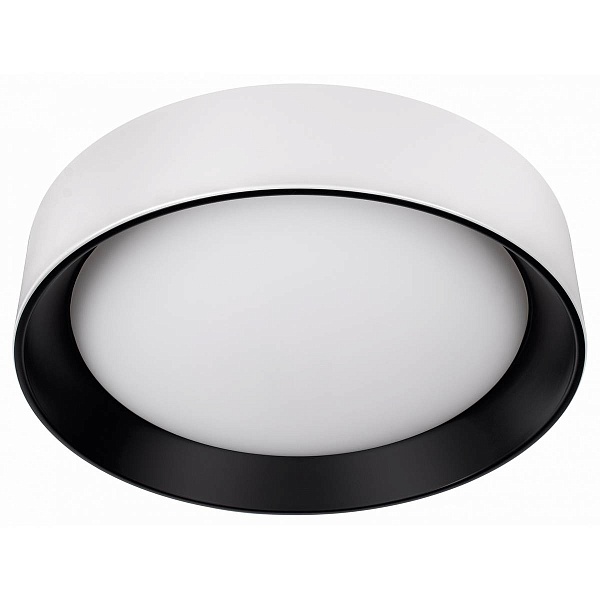 Светильник потолочный LOFT IT COIN 10202 WB