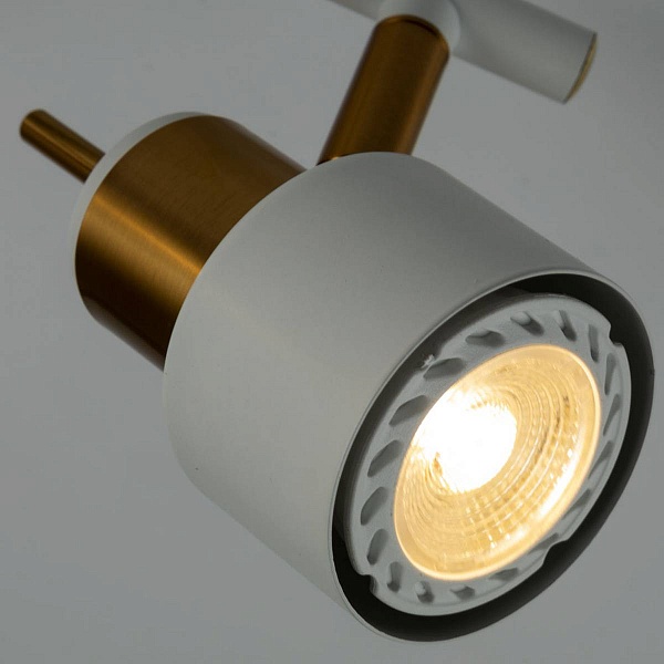 Спот ARTE LAMP ALMACH A1906PL-2WH
