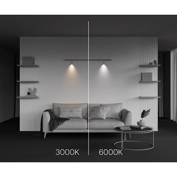Трековый светильник MAYTONI FOCUS LED C102CL-3W3-6K-BS