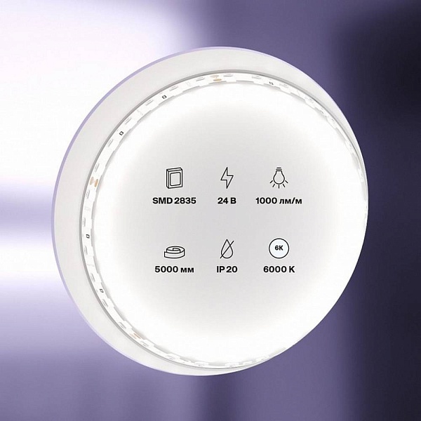 Лента LED STANDART 9,6 W/m 24V IP20 2835/120 6000K 5mm (5м) 20021 MAYTONI