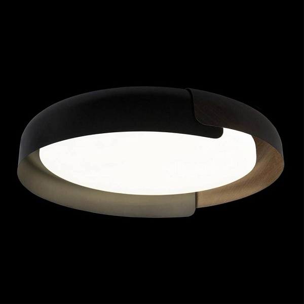 Светильник потолочный LOFT IT COIN 10198 Black
