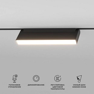 Трековый светильник ELEKTROSTANDARD SLIM MAGNETIC a063543