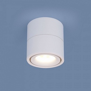 Спот ELEKTROSTANDARD DLR031 a040958