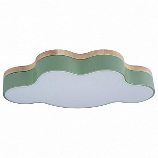 Светильник потолочный LOFT IT AXEL 4 10005/30 Green
