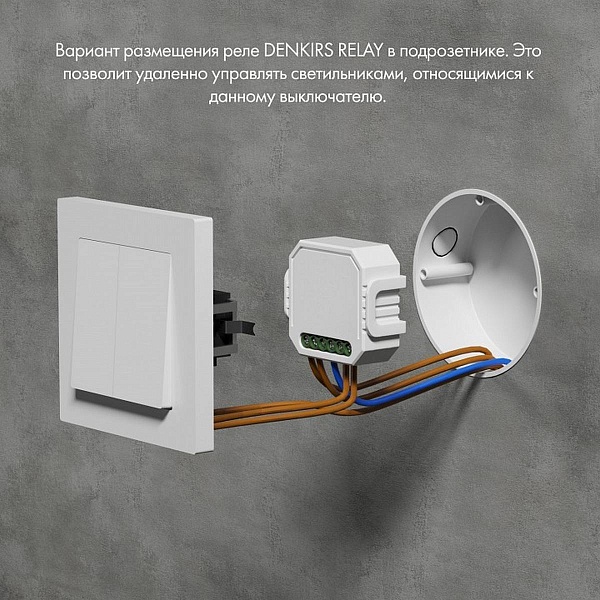 Wi-Fi модуль DENKIRS RELAY RL1004-DM/1