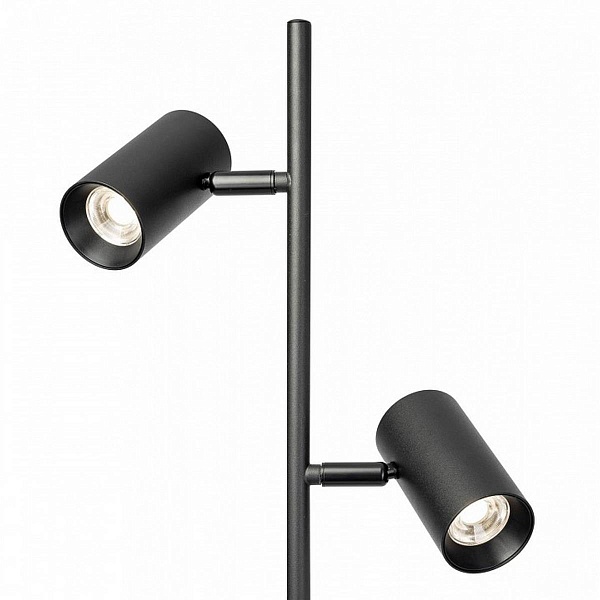 Торшер CITILUX TWIN CL809011N