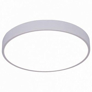 Светильник потолочный ARTE LAMP ARENA A2661PL-1WH