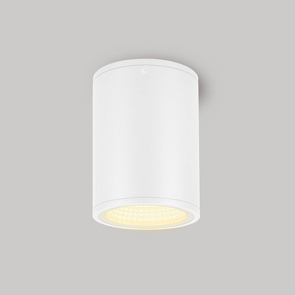 Спот ARLIGHT FORMA 37261