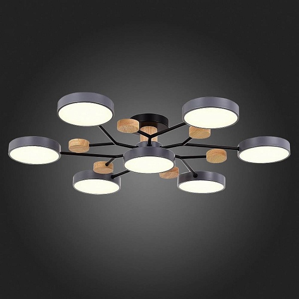 Люстра потолочная EVOLUCE FAEMA SLE6006-702-07