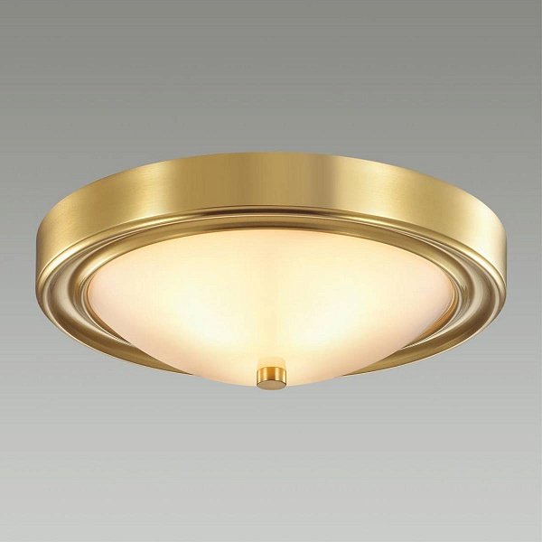 Светильник потолочный LUMION NINA 5259/2C