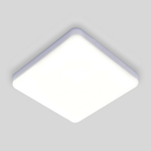 Светильник потолочный ELEKTROSTANDARD DLR043 a047941