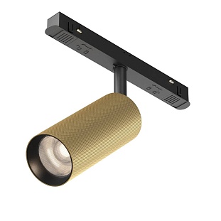 Трековый светильник MAYTONI ARTISAN TR097-2-12W4K-M-BMG