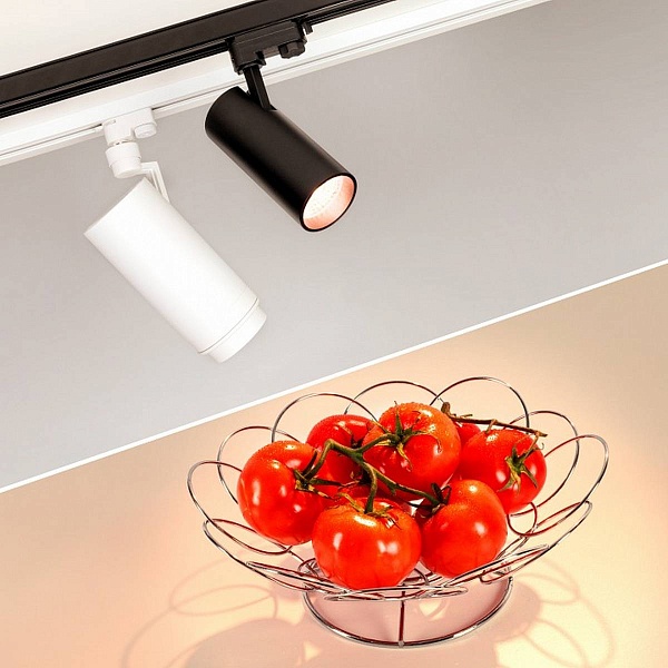 Трековый светильник ARLIGHT ZEUS FOOD 32455