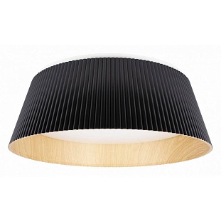 Светильник потолочный LOFT IT EVANS 10224 Black