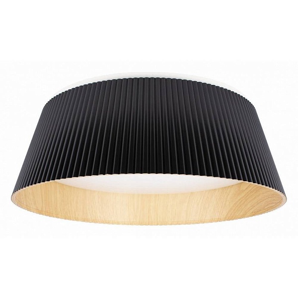 Светильник потолочный LOFT IT EVANS 10224 Black