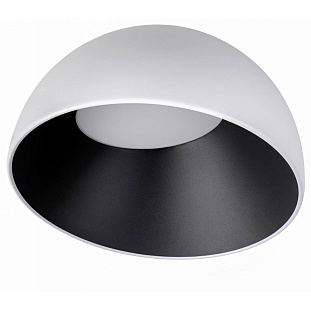 Светильник потолочный LOFT IT EGG 10197/350 WB