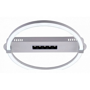 Светильник потолочный ESCADA ASPECT 10253/1LED