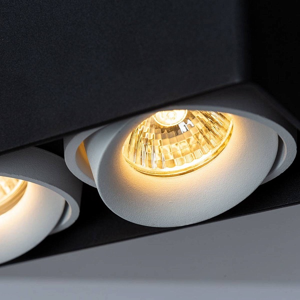 Спот ARTE LAMP PICTOR A5654PL-2BK