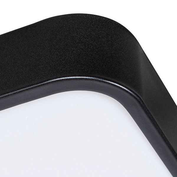 Светильник потолочный ARTE LAMP SCENA A2669PL-1BK
