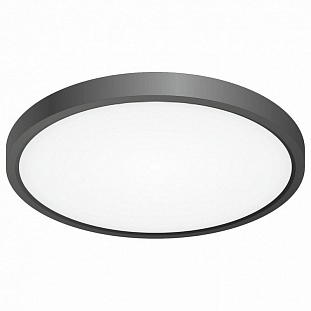 Светильник потолочный CITILUX БЕЙСИК CL738241V