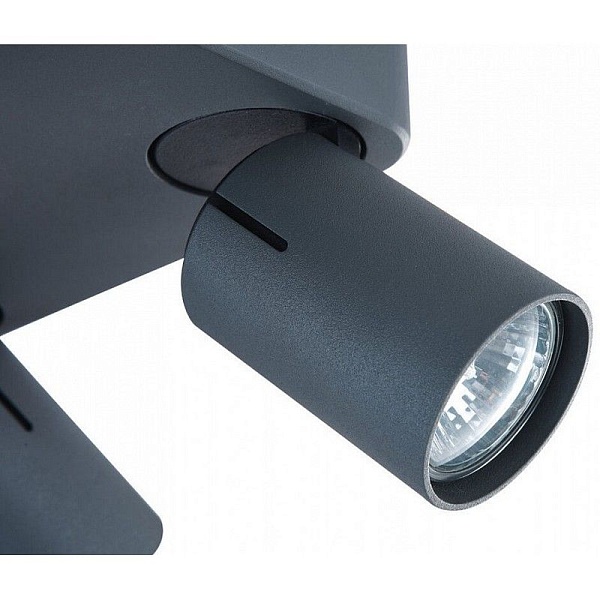 Спот VELE LUCE CARRISI 742 VL8067S04