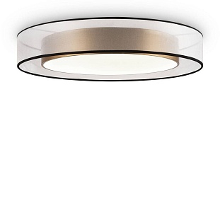 Светильник потолочный FREYA ZOTICUS FR6005CL-L48G