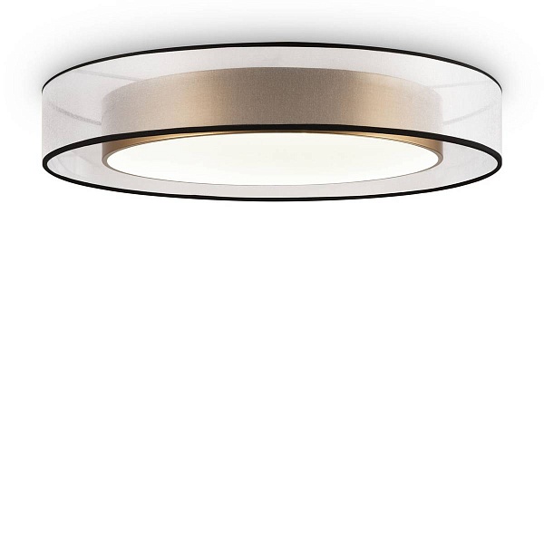 Светильник потолочный FREYA ZOTICUS FR6005CL-L48G