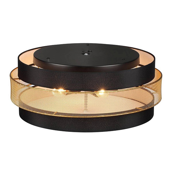 Светильник потолочный LUMION ANIMAISA 8003/6C