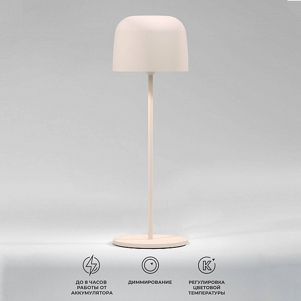 Настольная лампа ELEKTROSTANDARD BITTY a069003