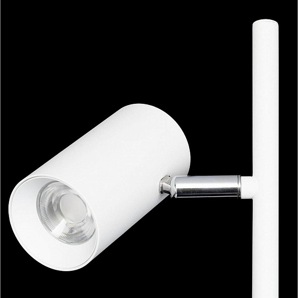 Торшер CITILUX TWIN CL809010N