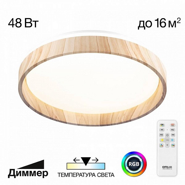 Светильник потолочный CITILUX ENZO CL753352G