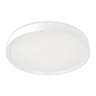 Светильник потолочный CITILUX BOSS CL751450G