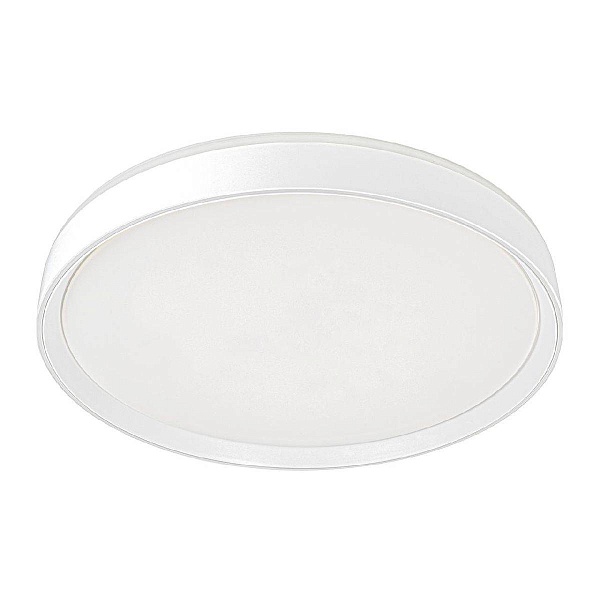 Светильник потолочный CITILUX BOSS CL751450G