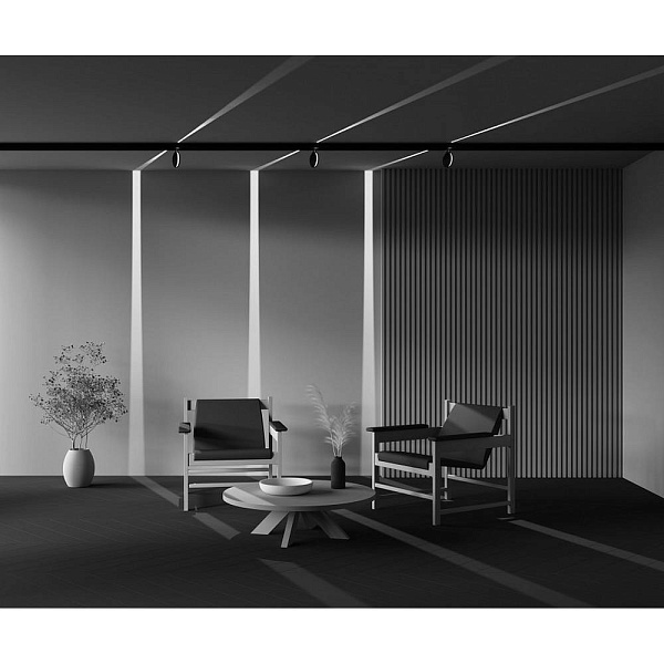 Трековый светильник MAYTONI OUTLINE TR090-2-6W3K-B