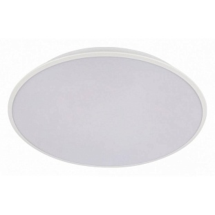 Светильник потолочный LOFT IT BRIM 10226 White