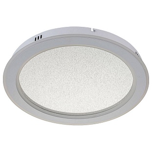 Светильник потолочный ESCADA 607 607/S LED