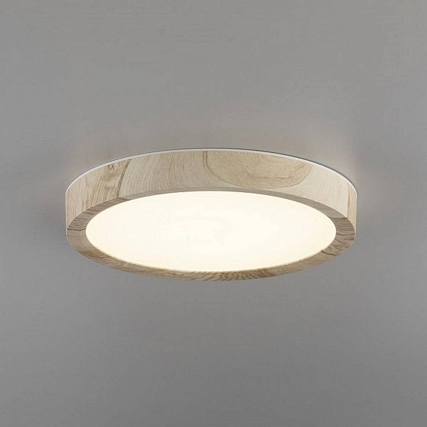 Светильник потолочный CITILUX БЕЙСИК CL738122N