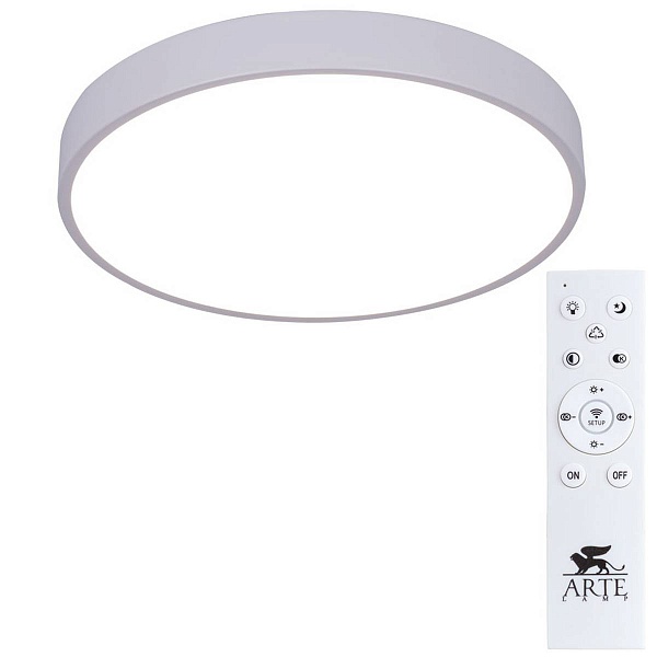 Светильник потолочный ARTE LAMP ARENA A2661PL-1WH