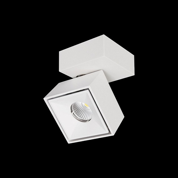Спот CITILUX СТАМП CL558020N