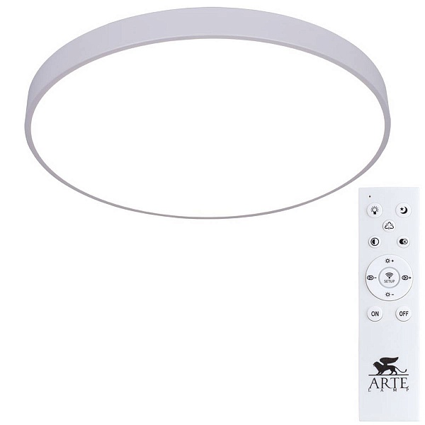 Светильник потолочный ARTE LAMP ARENA A2671PL-1WH
