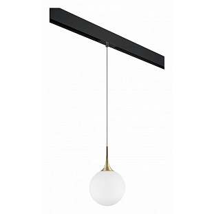 Трековый светильник LIGHTSTAR GLOBO PRO813032