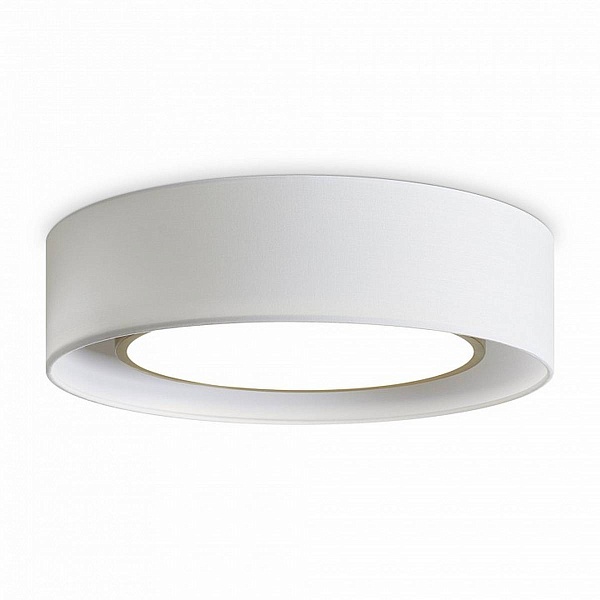 Светильник потолочный FREYA COZY FR6170CL-L52BS